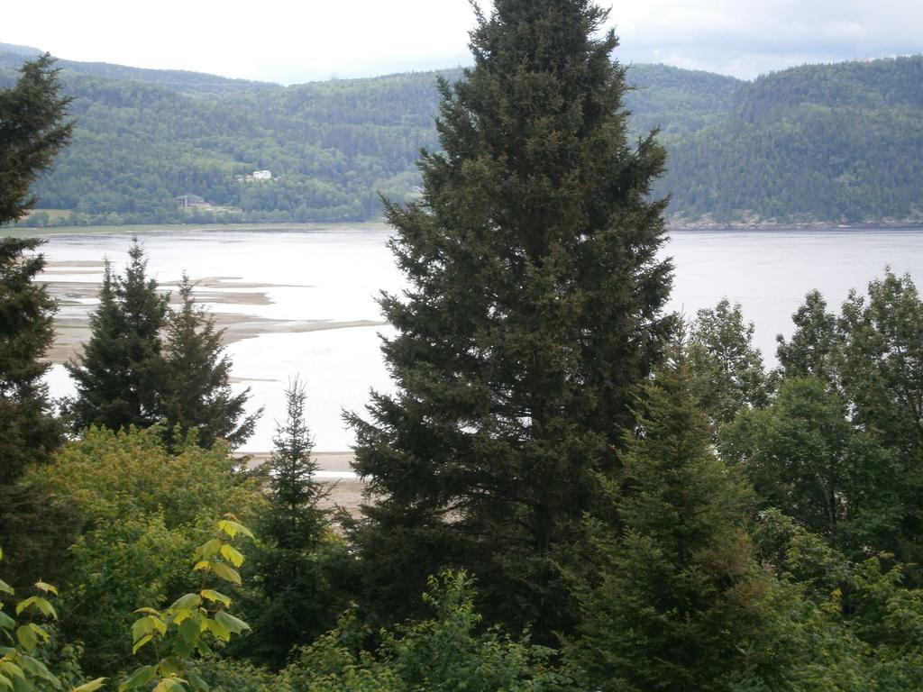 Panoramique Du Fjord Leilighet LʼAnse-Saint-Jean Eksteriør bilde