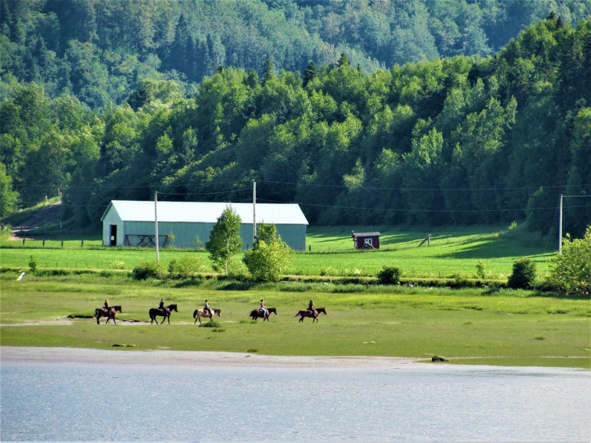 Panoramique Du Fjord Leilighet LʼAnse-Saint-Jean Eksteriør bilde