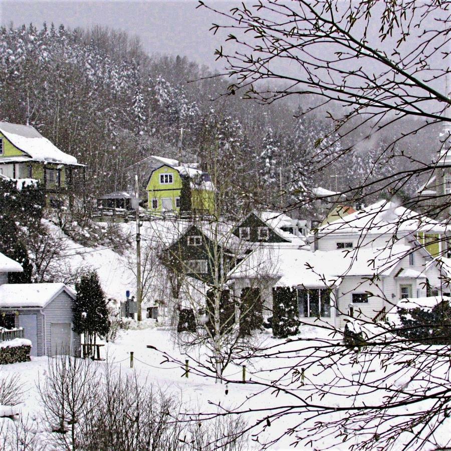 Panoramique Du Fjord Leilighet LʼAnse-Saint-Jean Eksteriør bilde