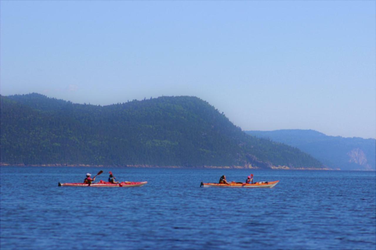 Panoramique Du Fjord Leilighet LʼAnse-Saint-Jean Eksteriør bilde